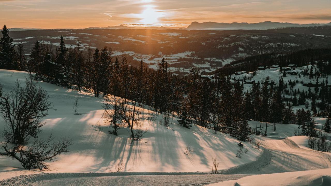 Danebu Kongsgaard - Boutique Hotel Aurdal Exteriér fotografie